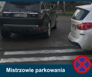 Mistrzowie Parkowania: Zobacz najbardziej kuriozalne pomysły kierowców
