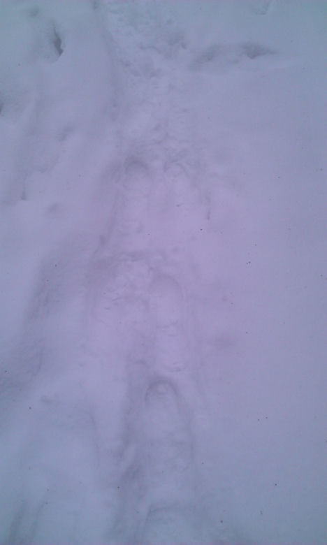 Nagły atak zimy w Wielkanoc. Spadło nawet 40 cm śniegu