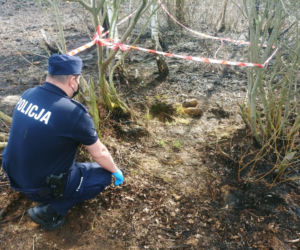 Pożar ujawnił groźne niewybuchy! Na miejsce wezwano saperów [ZDJĘCIA] 