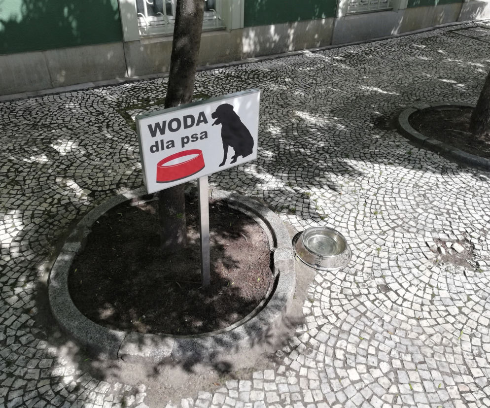 Miska wody