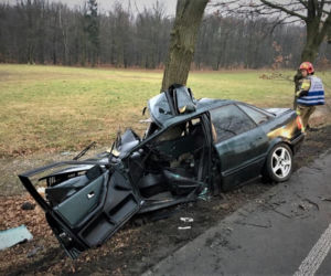 Zawinął się na drzewie starym Audi
