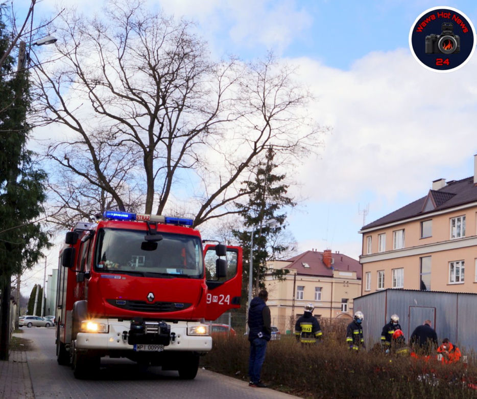 Drzewo przygniotło robotnika w Konstancinie
