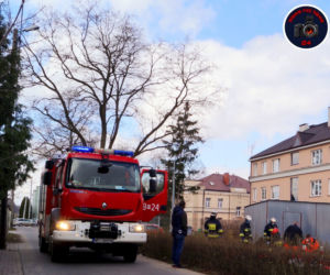 Drzewo przygniotło robotnika w Konstancinie