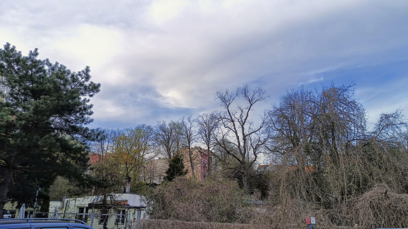 Rybaki, Toruń