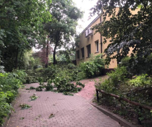 Nawałnica zniszczyła Zoo Płock! Placówka zamknięta! Co ze zwierzętami? [ZDJĘCIA]