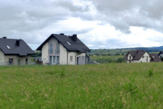 Jadowita żmija ukąsiła Miłosza