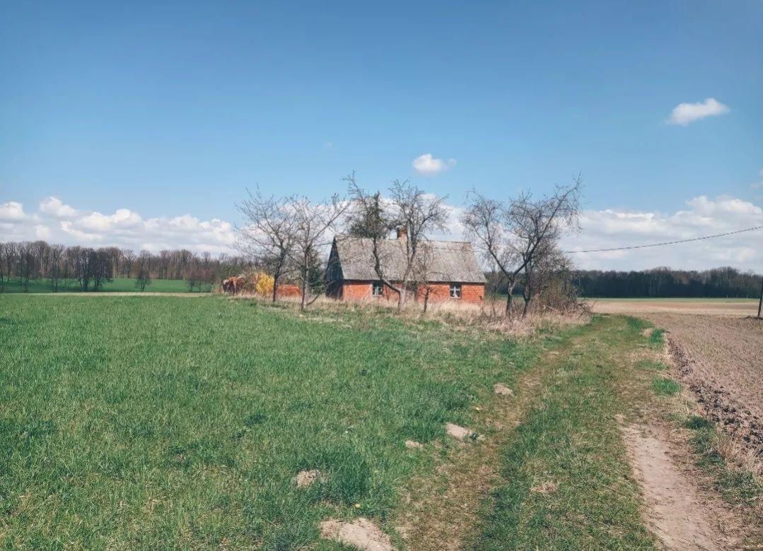 	Bydgoszczanie zwiedzją opuszczone domy. W Niemczech byli w starej fabryce czekolady i zapomnianym sanatorium