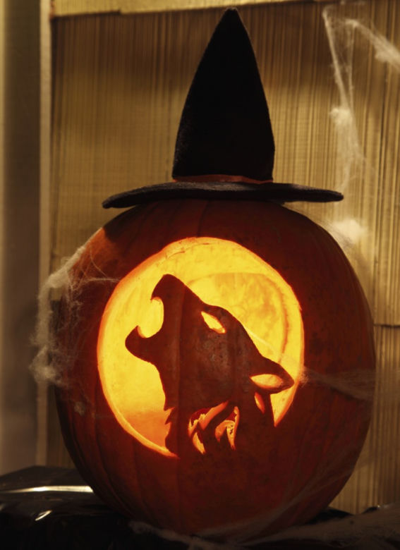Halloween dynie