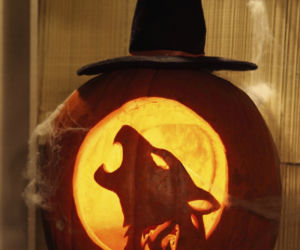 Halloween dynie