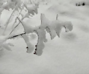 Pierwszy śnieg w regionie tarnowskim