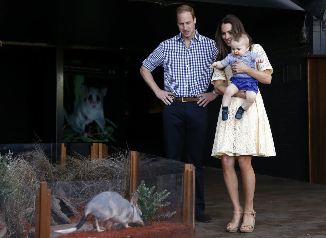 Książę William, Księżna Kate, Książę George