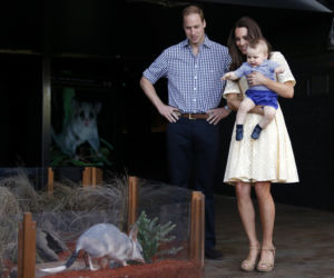 Książę William, Księżna Kate, Książę George