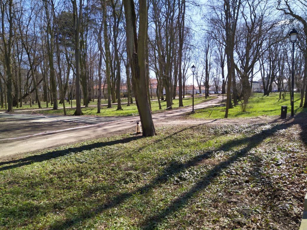 Park Aleksandria w Siedlcach w czasie remontu i prac rewitalizacyjnych - 29.03.2023