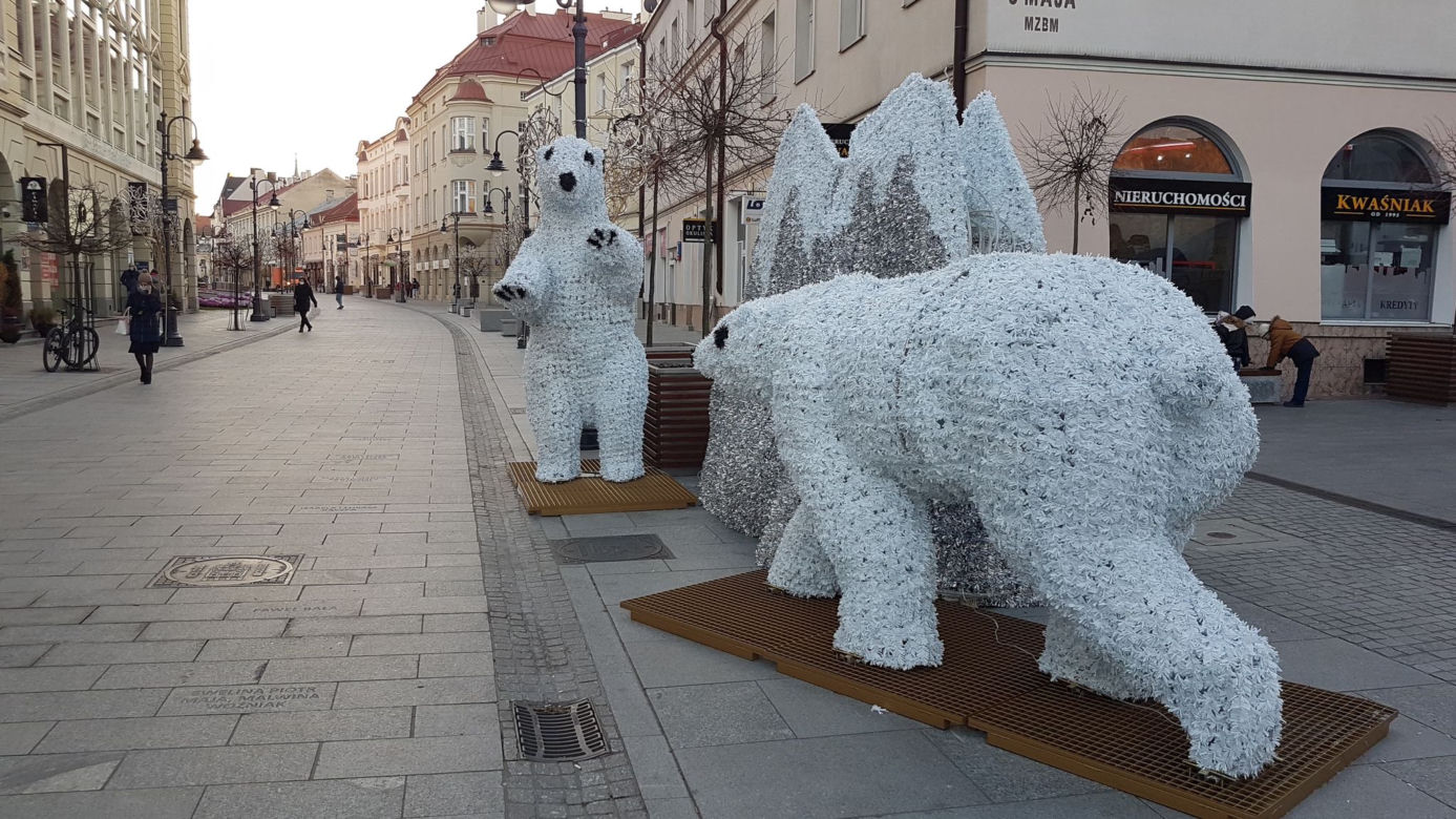 Białe misie na 3 Maja w Rzeszowie