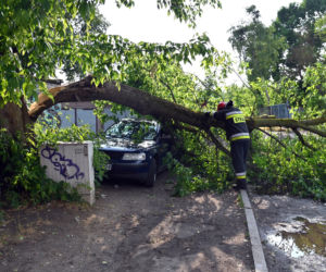 Szczecin: Zniszczenia po przejściu gwałtownej burzy