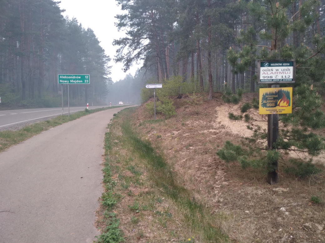 Pożar w Puszczy Białowieskiej
