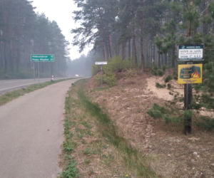Pożar w Puszczy Białowieskiej
