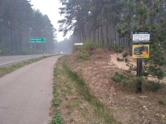 Pożar w Puszczy Białowieskiej