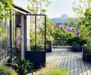 Zobacz, co uprawiać w donicy na balkonie. To łatwiejsze niż myślisz!