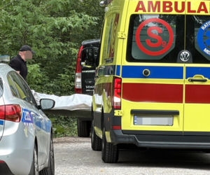 Mężczyzna przygnieciony drzewem przy Moście Poniatowskiego w Warszawie