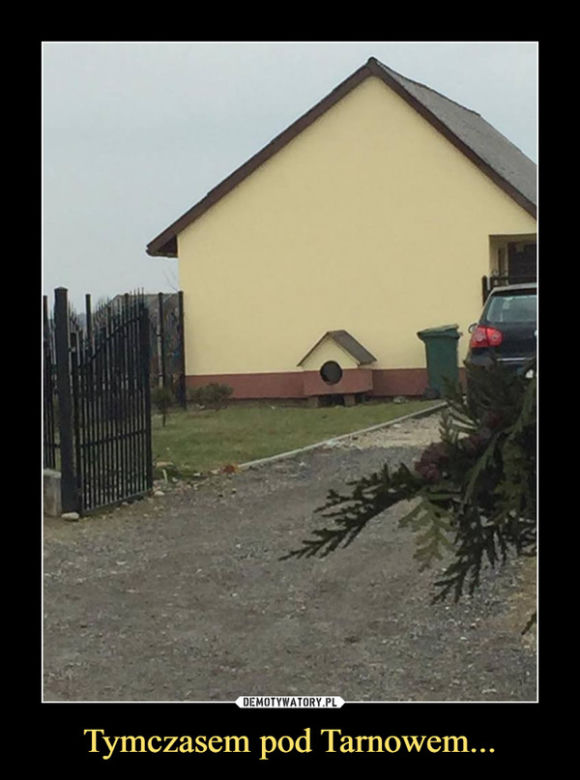 Najlepsze memy internautów o Tarnowie