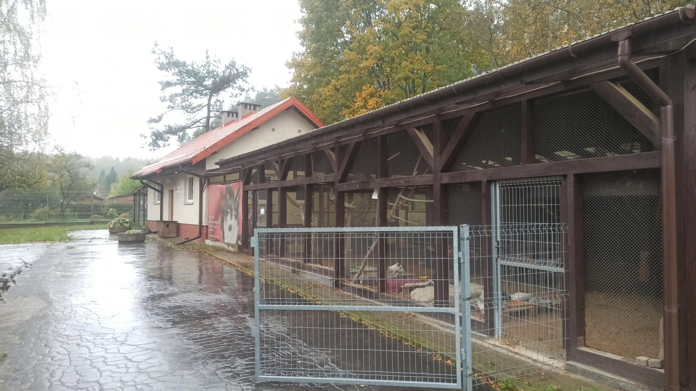 Schronisko dla Zwierząt w Olsztynie