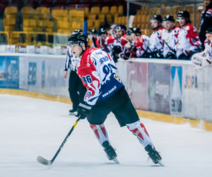 KH Energa Toruń - Podhale Nowy Targ 3:2 - zdjęcia z meczu