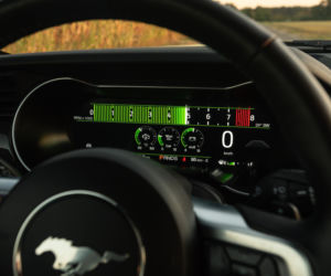 Ford Mustang GT 5.0 V8 55 Edition