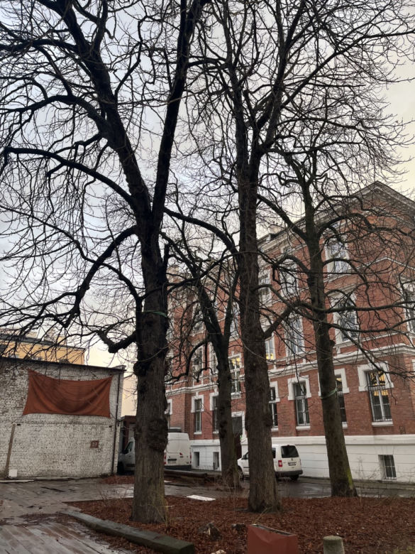 Soho Warszawa - luty 2023 r. 