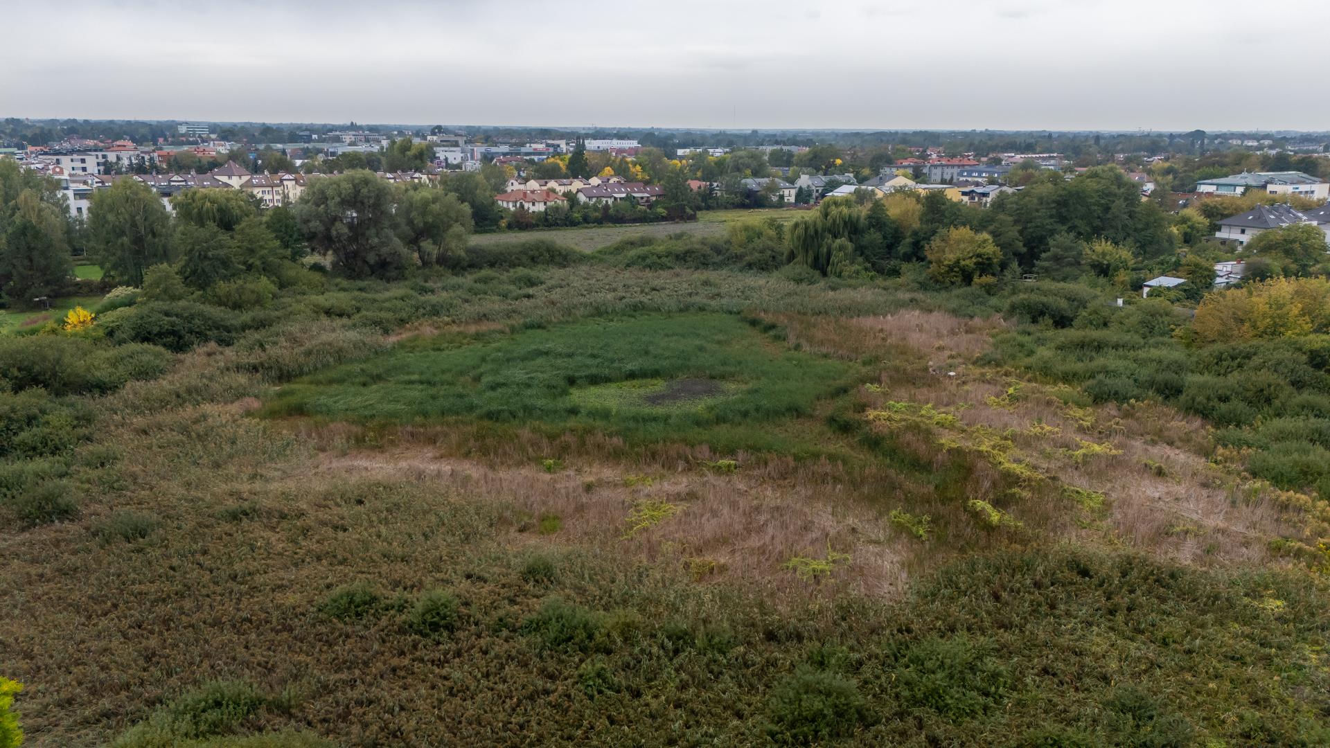 Wyschnięte Jeziorko Imielińskie w Warszawie