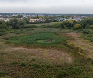 Wyschnięte Jeziorko Imielińskie w Warszawie