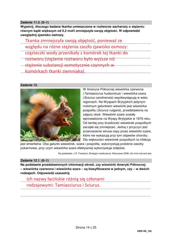 Matura 2022: biologia rozszerzona. Arkusze CKE, zadania, pytania. Poziom rozszerzony