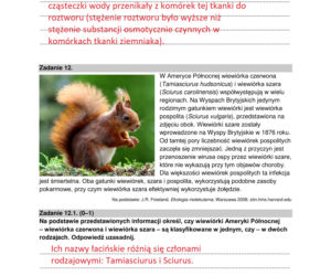 Matura 2022: biologia rozszerzona. Arkusze CKE, zadania, pytania. Poziom rozszerzony
