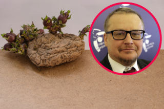 Ekspert o mrocznej wizji pogody w Polsce. Znikną uprawy ziemniaków! Czekają nas ekstremalne anomalie