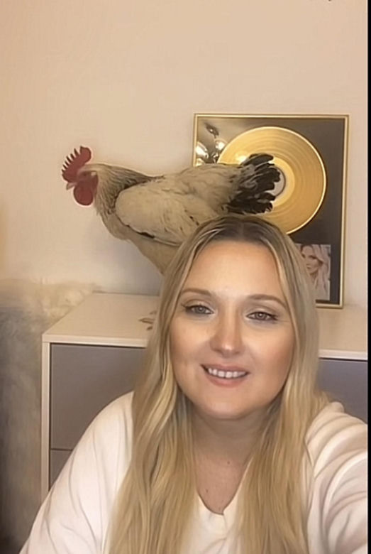 Gosia Andrzejewicz wystąpiła na kamerkach z żywym kogutem!