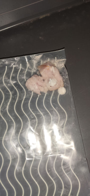 Zwyrodnialec truje nasze psy!