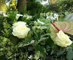 Tarnów. Ostatnie pożegnanie Karoliny Bojarskiej. Grobowiec utonął w kwiatach 