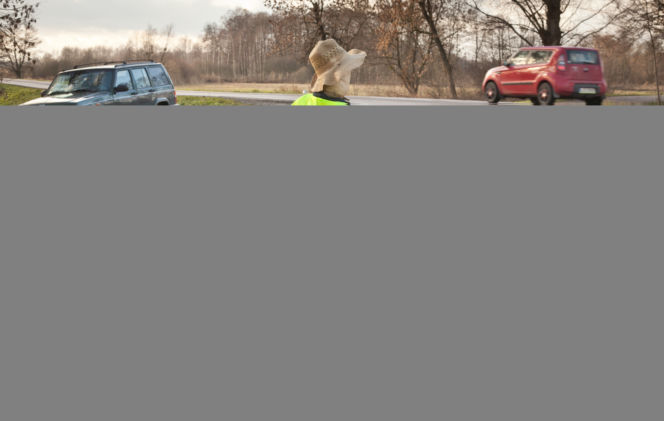STRACH NA KIEROWCÓW.