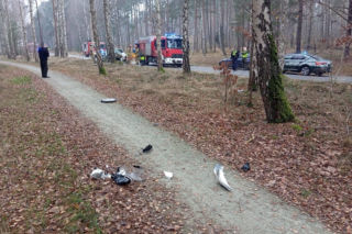 Groźny wypadek pod Bydgoszczą! Kierowca zakleszczony w aucie po uderzeniu w drzewo