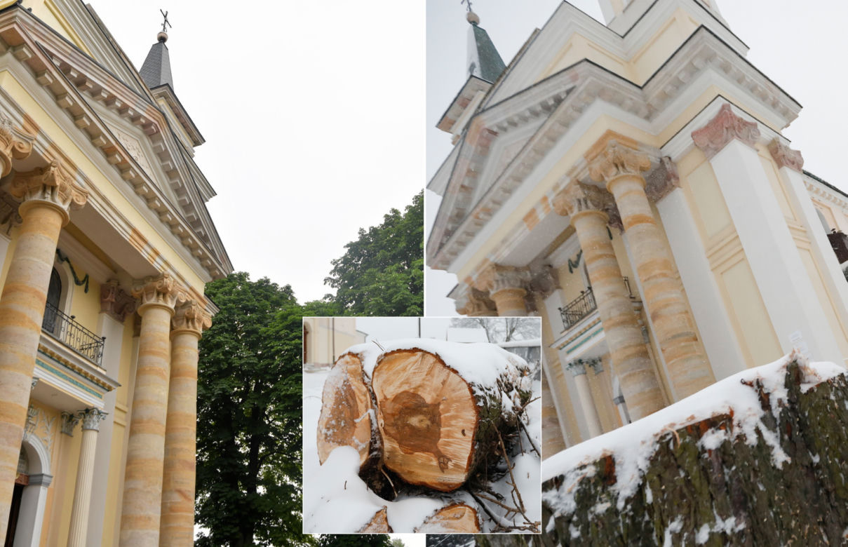 Szokująca decyzja proboszcza. Wyciął 150-letnie kasztanowce. Mieszkańcy pytają, czy to żart?