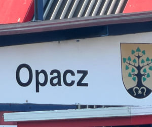 Dramat w pociągu WKD jadącym do Warszawy. Nie żyje pasażer