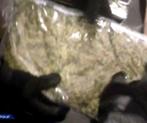 Marihuana w mandarynkach
