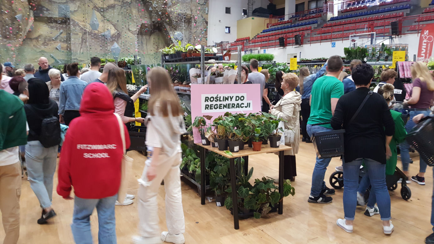 Festiwal Roślin w Nowym Sączu