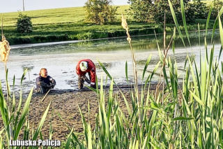 Lubuskie: Pod wodę wciągało go głębokie błoto. Pomoc nadeszła w ostatniej chwili