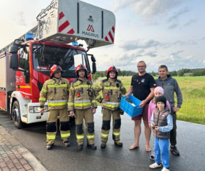 Uratowany ptak został postrzelony