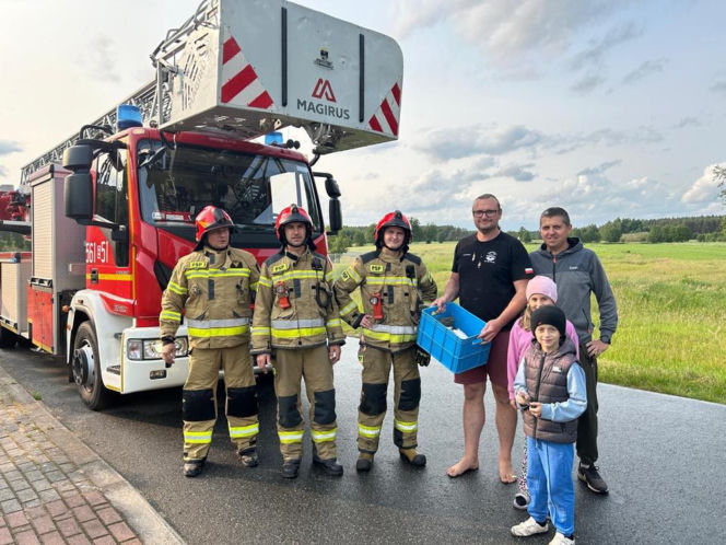 Uratowany ptak został postrzelony