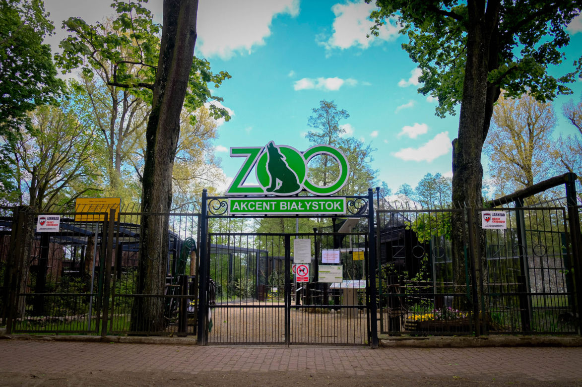 Akcent ZOO w Białymstoku
