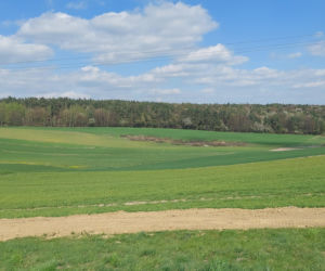 52. Rajd Spotkanie z wiosną