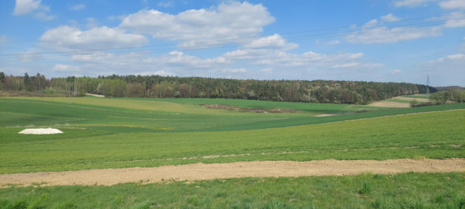 52. Rajd Spotkanie z wiosną