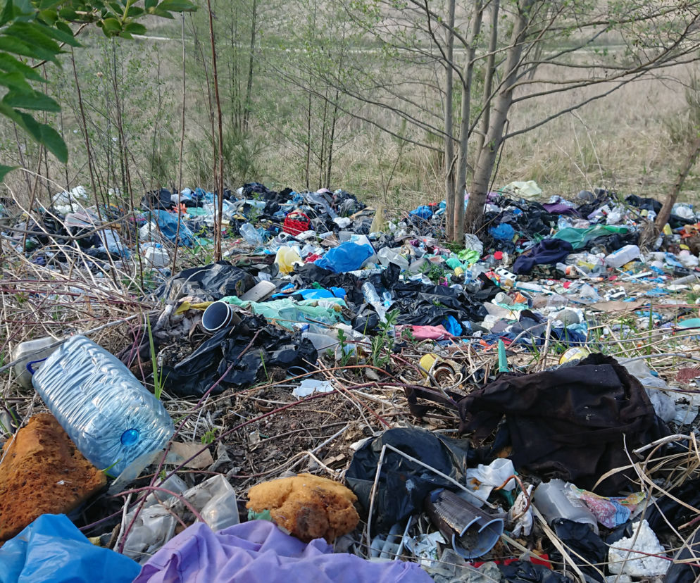 Taki widok czeka na saperowiczów w rejonie ulicy Srebrnej